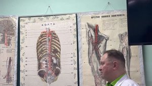 Видеолекция "Артериальная система"