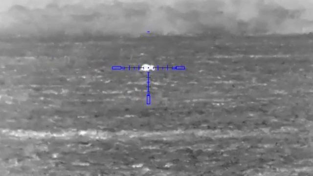 Охота на лис 5