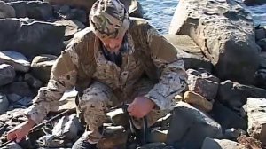 "Сарган 2012" 17 ноября 2012, Большой Утриш.