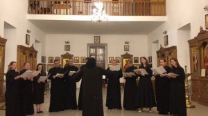 Великая ектения. Мирная.
Негрешная П.