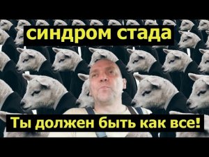 Как бросить пить навсегда. СИНДРОМ СТАДА. Ты должен быть как все!