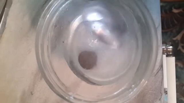 Чистка советов смотреть онлайн