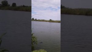 Рыбалка с.Тищенское Ставропольский кр.