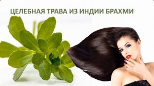 Эти 7 Трав Восстановят и Помогут Отрастить Волосы