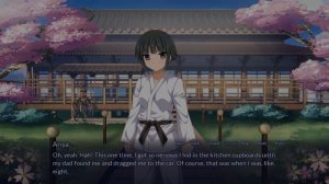 The Lonely Video Game Pervert: Episode Eight (Sakura Spirit)