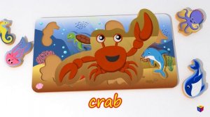 Learn sea animals. Cartoons matching games and toys for toddlers. Puzzle with sea creatures