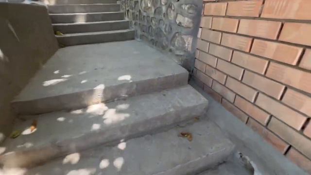 Отдых в Узбекистане| едем на Чарвак| потеряли Бакса в горах😯| национальное меню в деле😋 смотреть онлайн