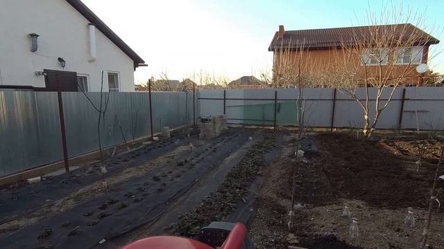 Делаю землю плодородной