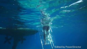 Дайвинг Турция и Каш