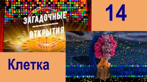 Клетка человека. Устройство. З/О_14.