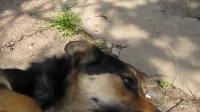 Славянск 12 июня 2022 года . Заждались ! смотреть онлайн