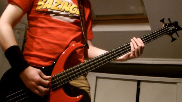 Blink 182 - I Miss You Bass cover смотреть онлайн