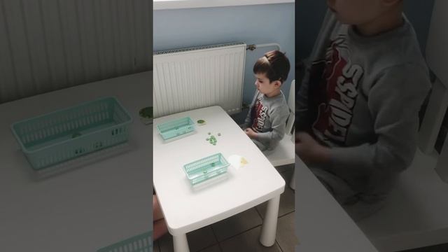 Структура одного логопедического занятия.