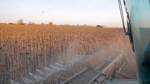 безрядковая жатка для уборки подсолнечника Санфлоро Лайт  10 метров премиум класса!