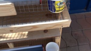Клетка для кур несушек, наклонный пол, чистая кормушка, доработанный вариант