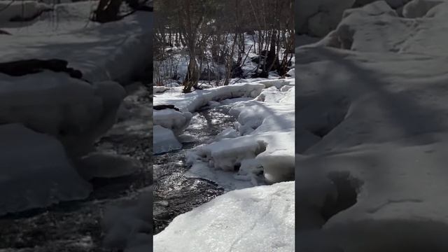 ВЕСНА В ГОРАХ