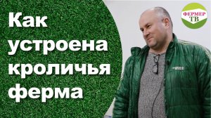 Как устроена кроличья ферма