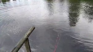 рыбалка на морду из бутылки