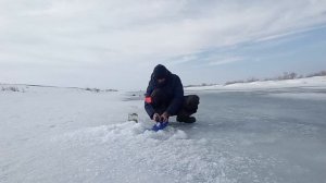 Весенняя рыбалка на жерлицы