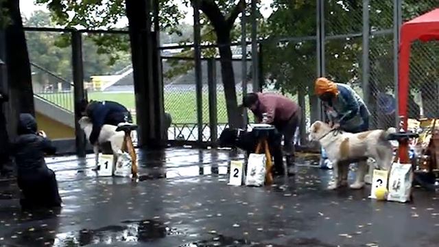 "Осенняя Легенда-2012", моно САО, г. Коломна смотреть онлайн