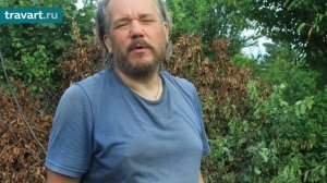 КАК БЕЗ УСИЛИЙ ВЫКОРЧЕВАТЬ ПЕНЬ