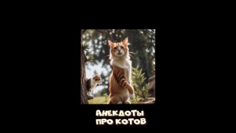 Анекдоты про КОТОВ #Shorts