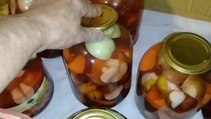 ☼Первый сбор чернослива для компота и вина.