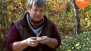 Надежда Черненко советует когда сажать чеснок