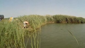 "Баттл" на Рыбхозе 64 / 2016г.