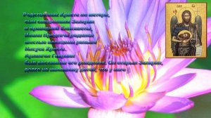 Собор Предтечи и Крестителя Господня Иоанна - 20 января!