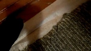 Сравнение деревянных и бетонных полов ( мои наблюдения)