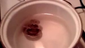 форд транзит. термостат. проверка