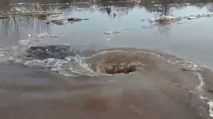 Водоворот