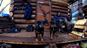 ПРИШЛИ ХОЛОДА. ИВАНЫЧ ЕДЕТ НА ПАСЕКУ В ТАЙГУ ДАЛЬНЕГО ВОСТОКА.