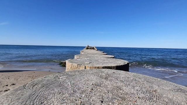 Мой отпуск. Прогулка по берегу моря. Чайки. смотреть онлайн