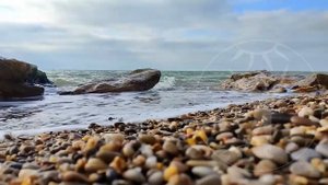 Пение китов. Звуки природы. Лига Свободных Душ.