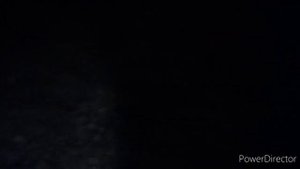 Рыбалка. Ночь и тропа лисы.