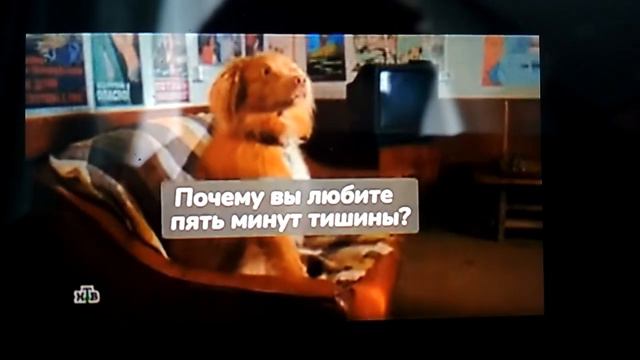 5 минут тишины топ смотреть онлайн