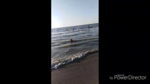 На море... Веселюсь, купаюсь🏖️