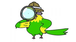 МОЙ НАГЛЫЙ ПОПУГАЙ (анимация)