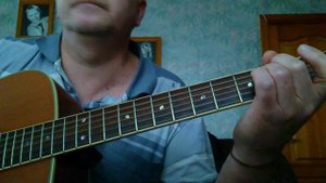 Аквариум С той стороны зеркального стекла cover