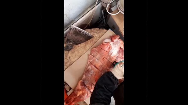 Лопатка конины