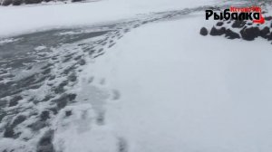 Открытие первого льда всегда по озерному монстру ротану.Ловля ротана на озере.