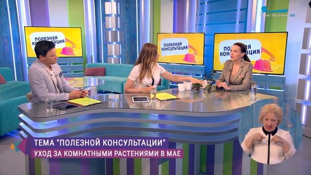 Уход за комнатными растениями в мае. Когда пересаживать и чем подкармливать? Консультация цветовода смотреть онлайн