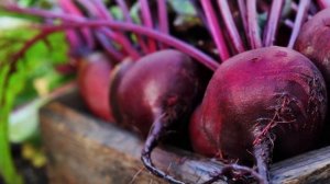 СВЕКЛА польза и вред для ОРГАНИЗМА