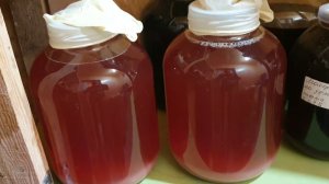 Домашнее ( деревенское) Шампанское. Пет-Нат. Полный цикл,от грозди до бокала