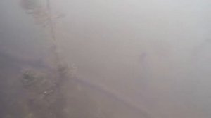 Река Нара. Почти рыбалка. Пескарики напомнили о детстве.