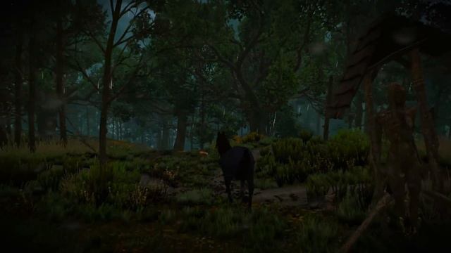 10 НЕИЗВЕСТНЫХ ДЕТАЛЕЙ в Ведьмак 3, о которых ты не знал | Ведьмак / The Witcher
