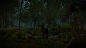 10 НЕИЗВЕСТНЫХ ДЕТАЛЕЙ в Ведьмак 3, о которых ты не знал | Ведьмак / The Witcher