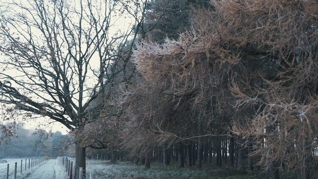 Kodak Portra 400 Film Simulation Recipe | Fujifilm X-T4 Photography смотреть онлайн